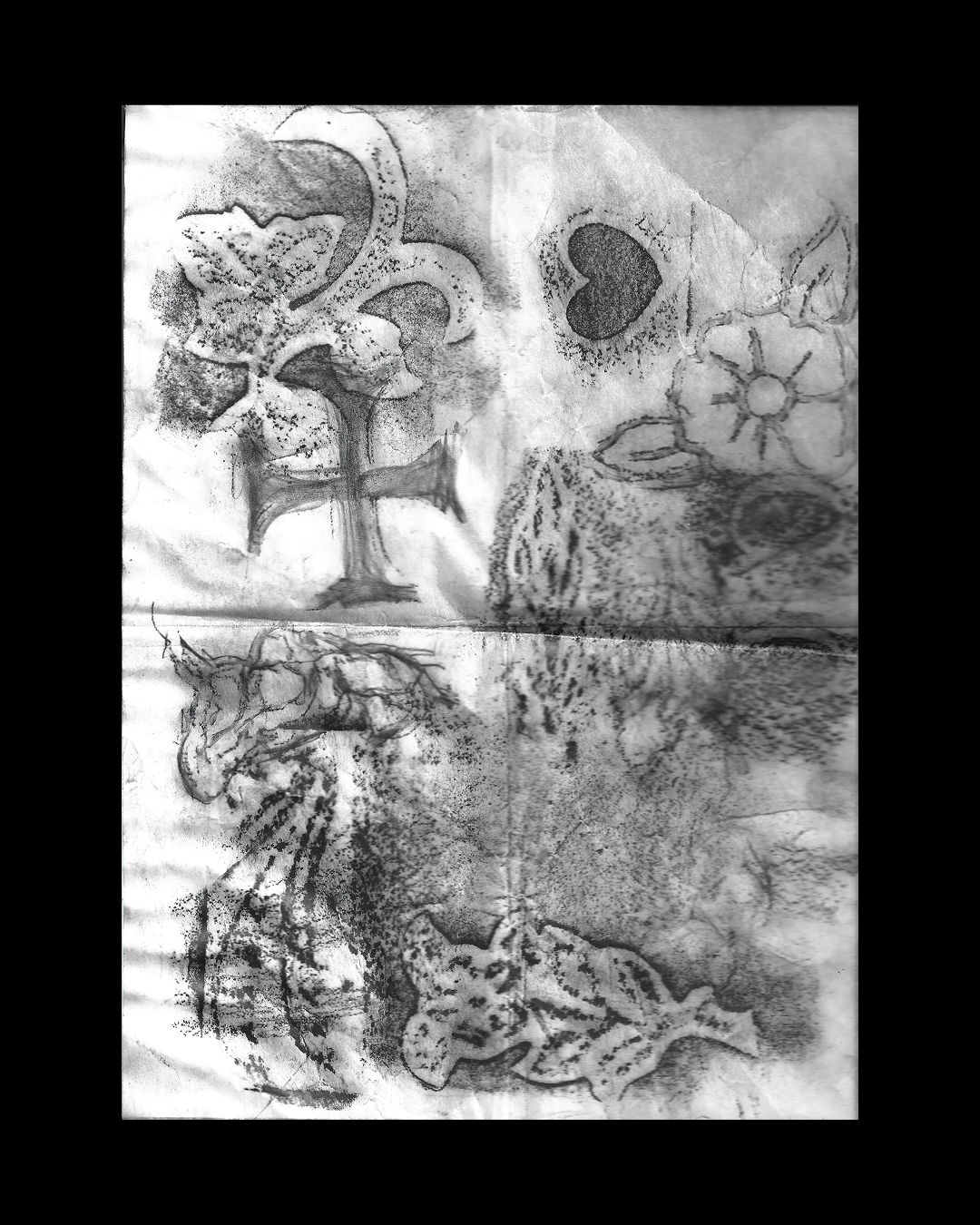 Christian Solorzano Photography