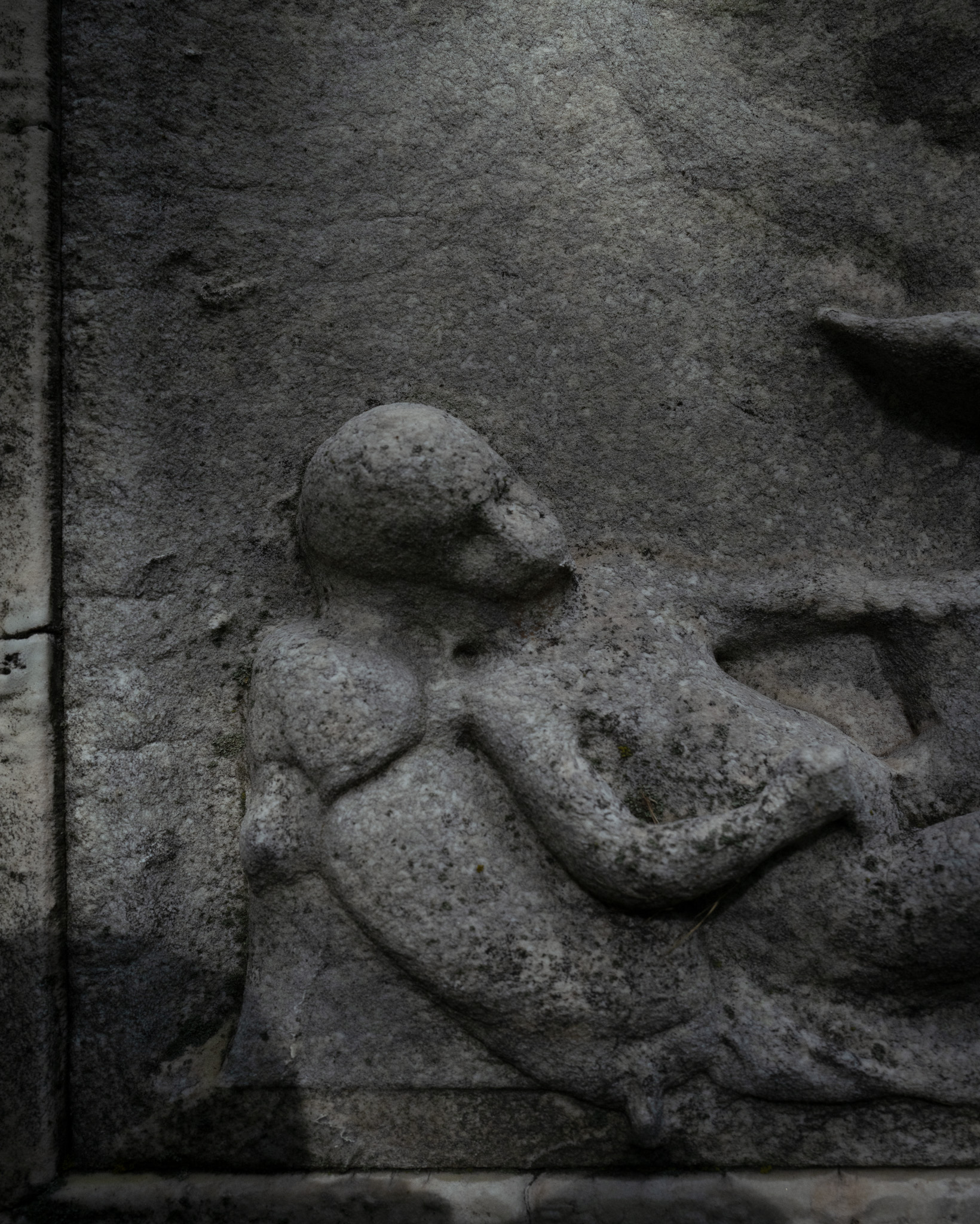 Christian Solorzano Photography