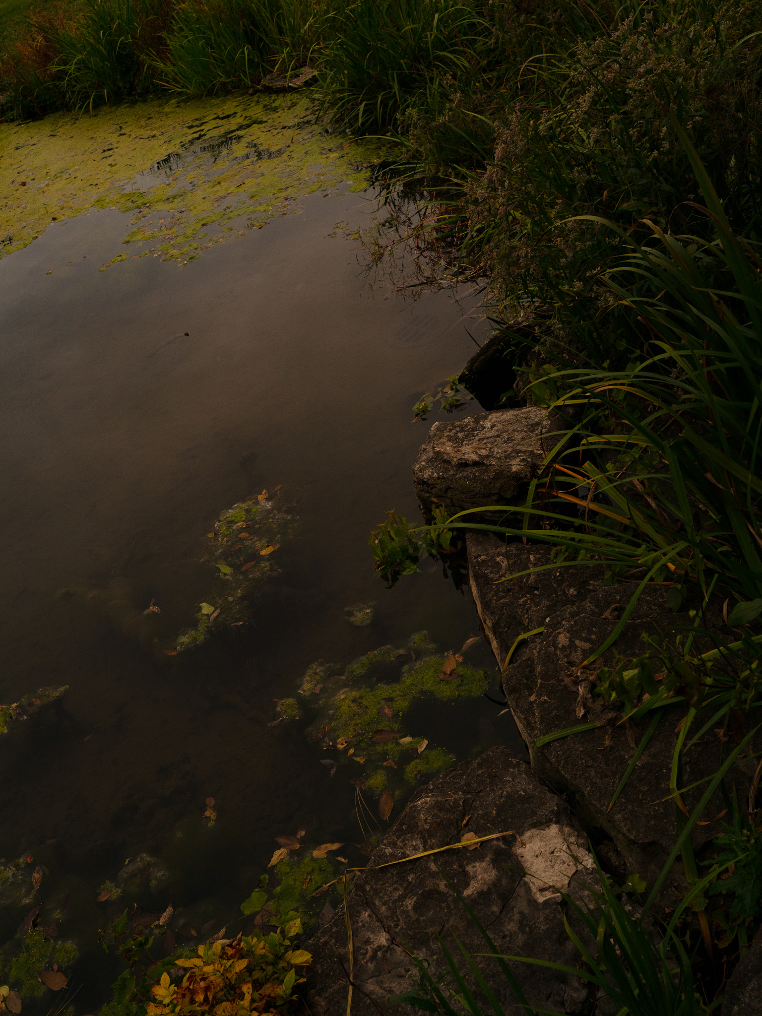 Christian Solorzano Photography