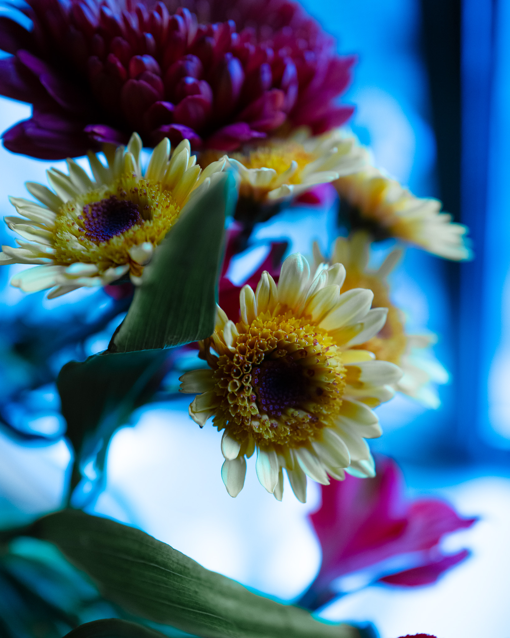 Christian Solorzano Photography