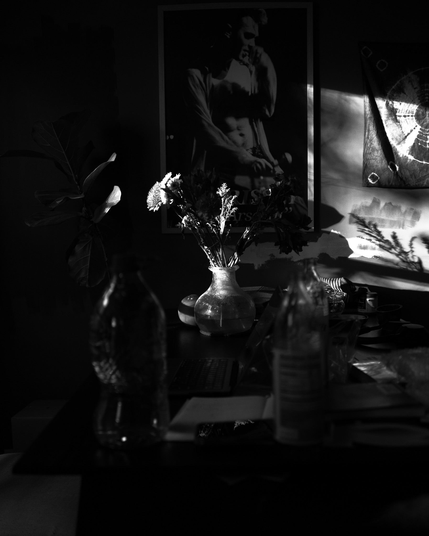 Christian Solorzano Photography