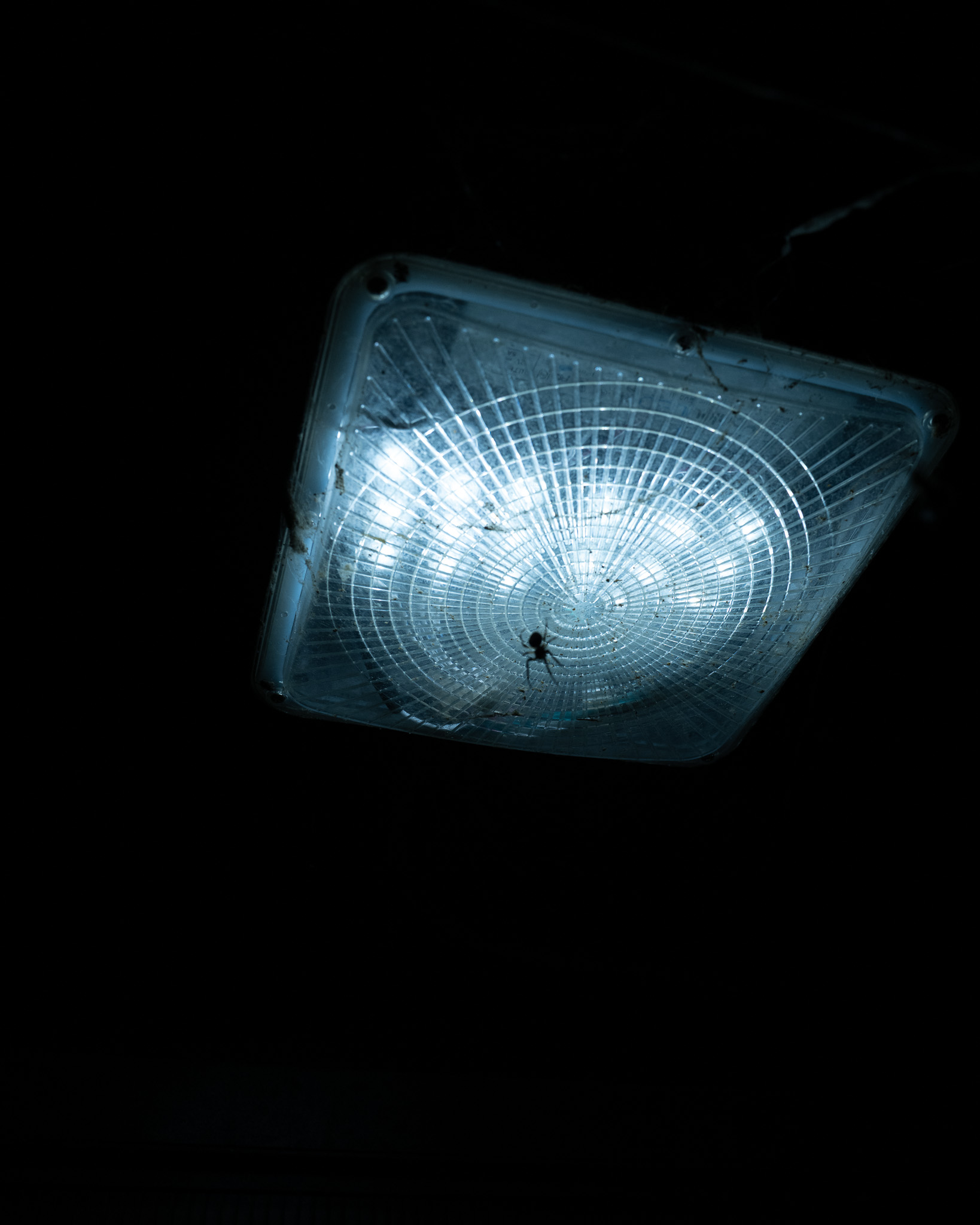 Christian Solorzano Photography