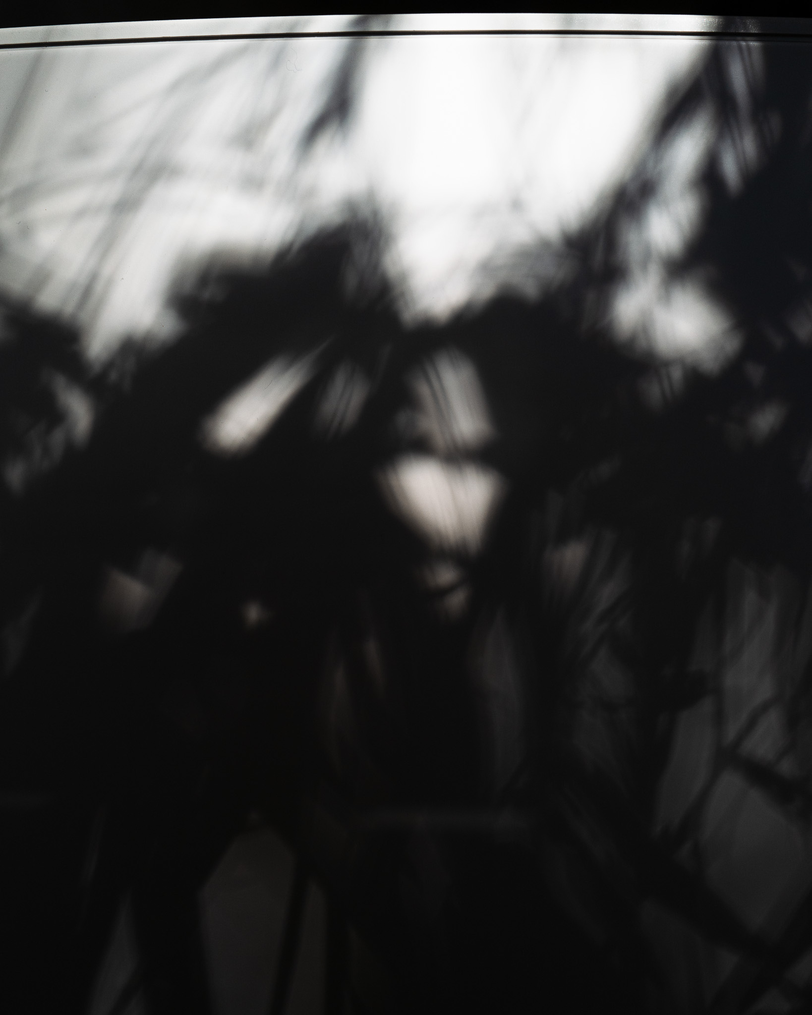 Christian Solorzano Photography