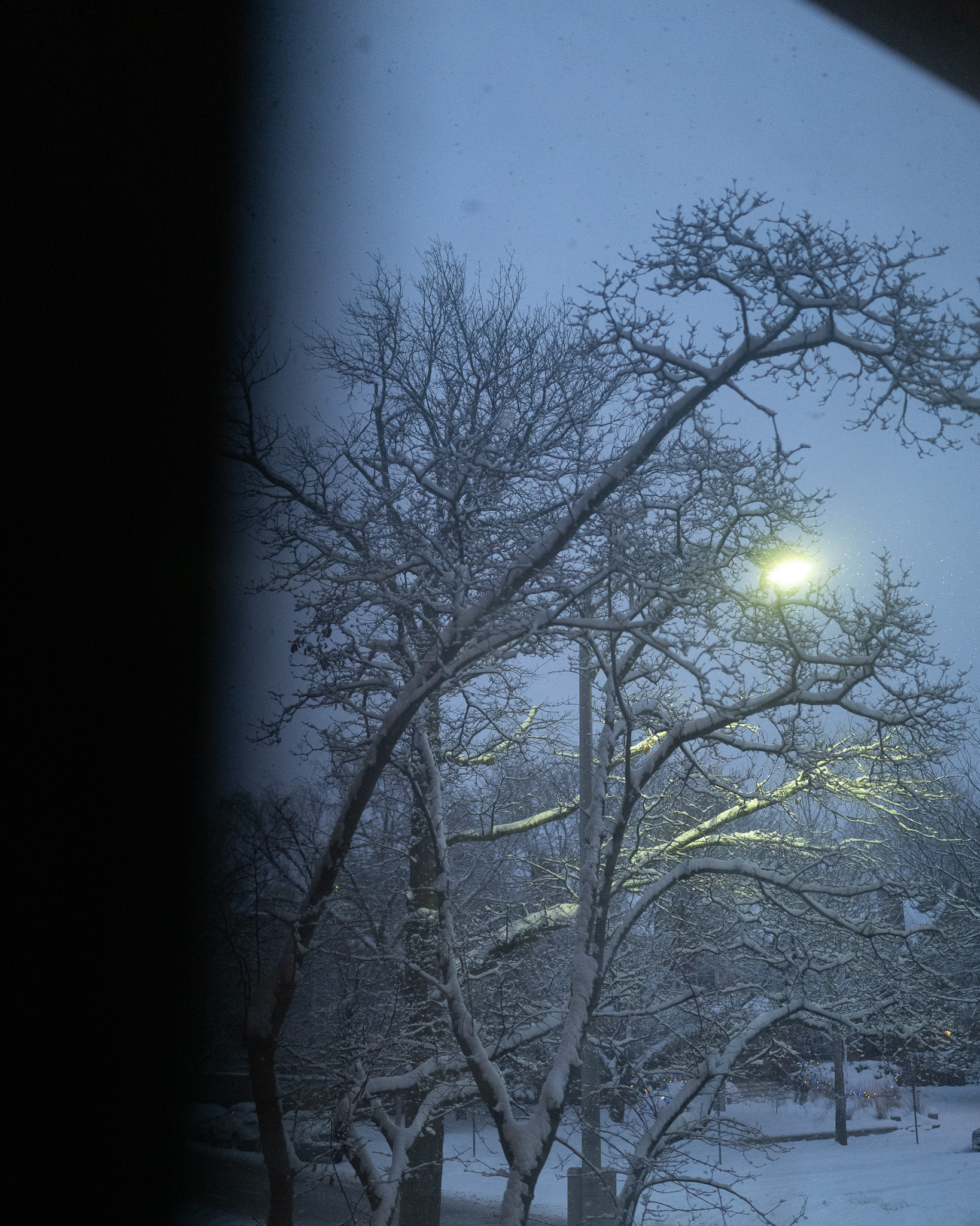 Christian Solorzano Photography