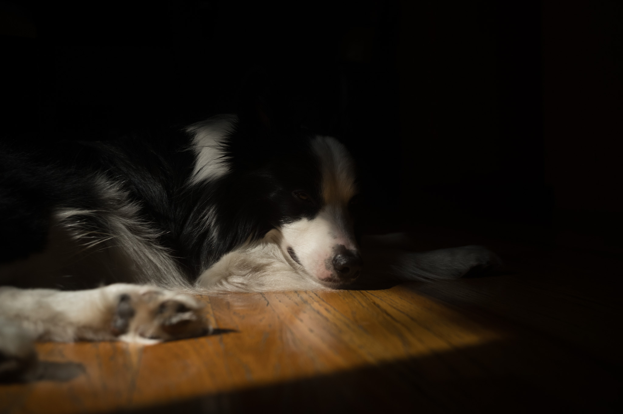 Christian Solorzano Photography
