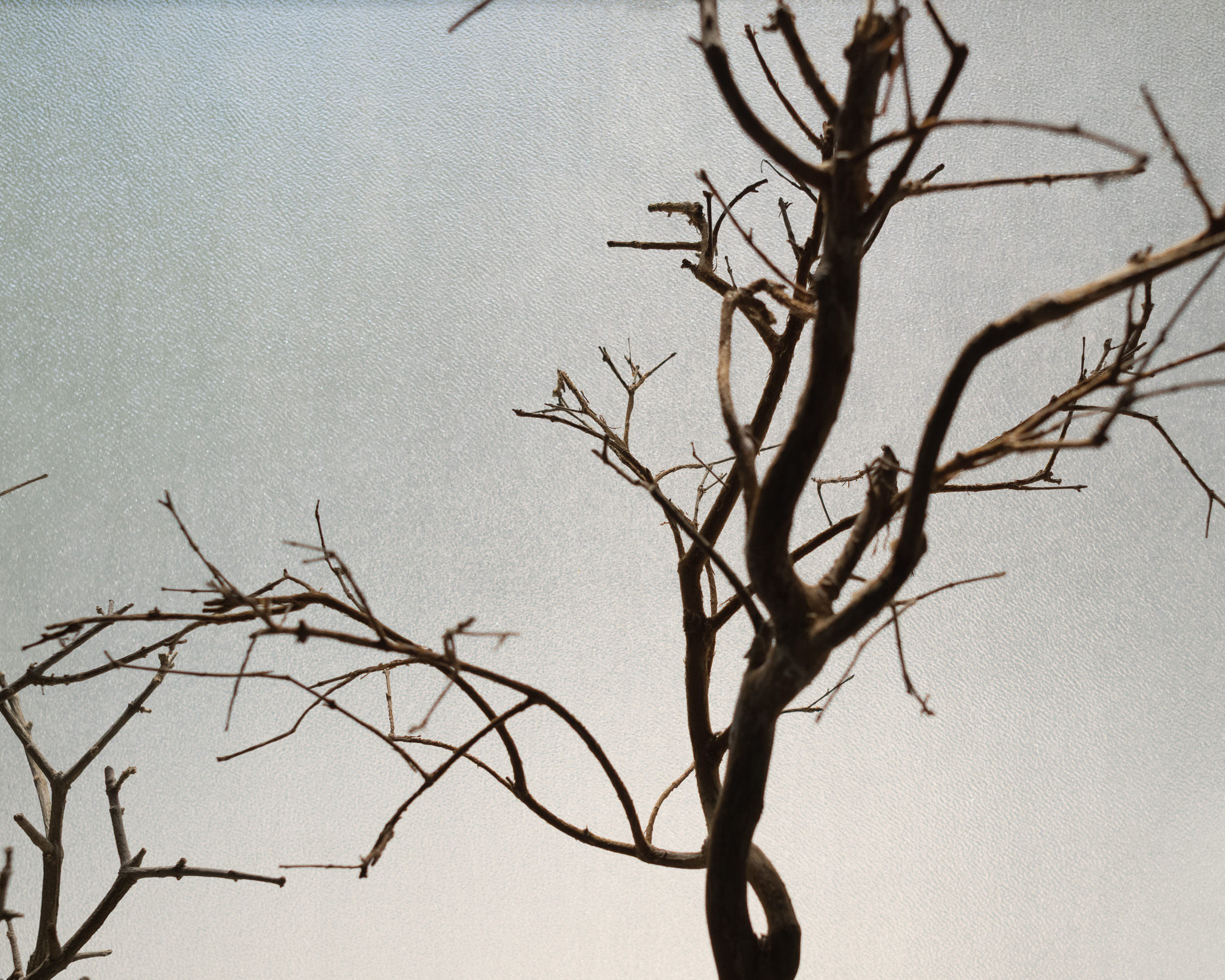 Christian Solorzano Photography