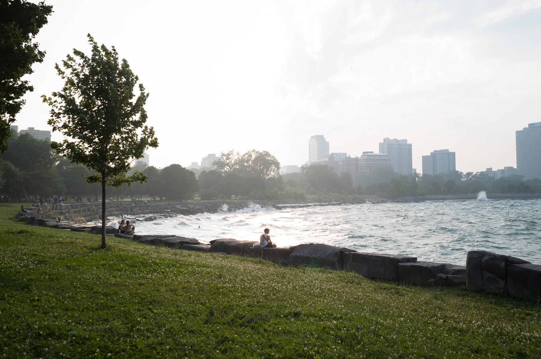 Christian Solorzano — photograph of the lakefront park in hazy evening light, a lone tree and a person sitting on the rocks above the water
