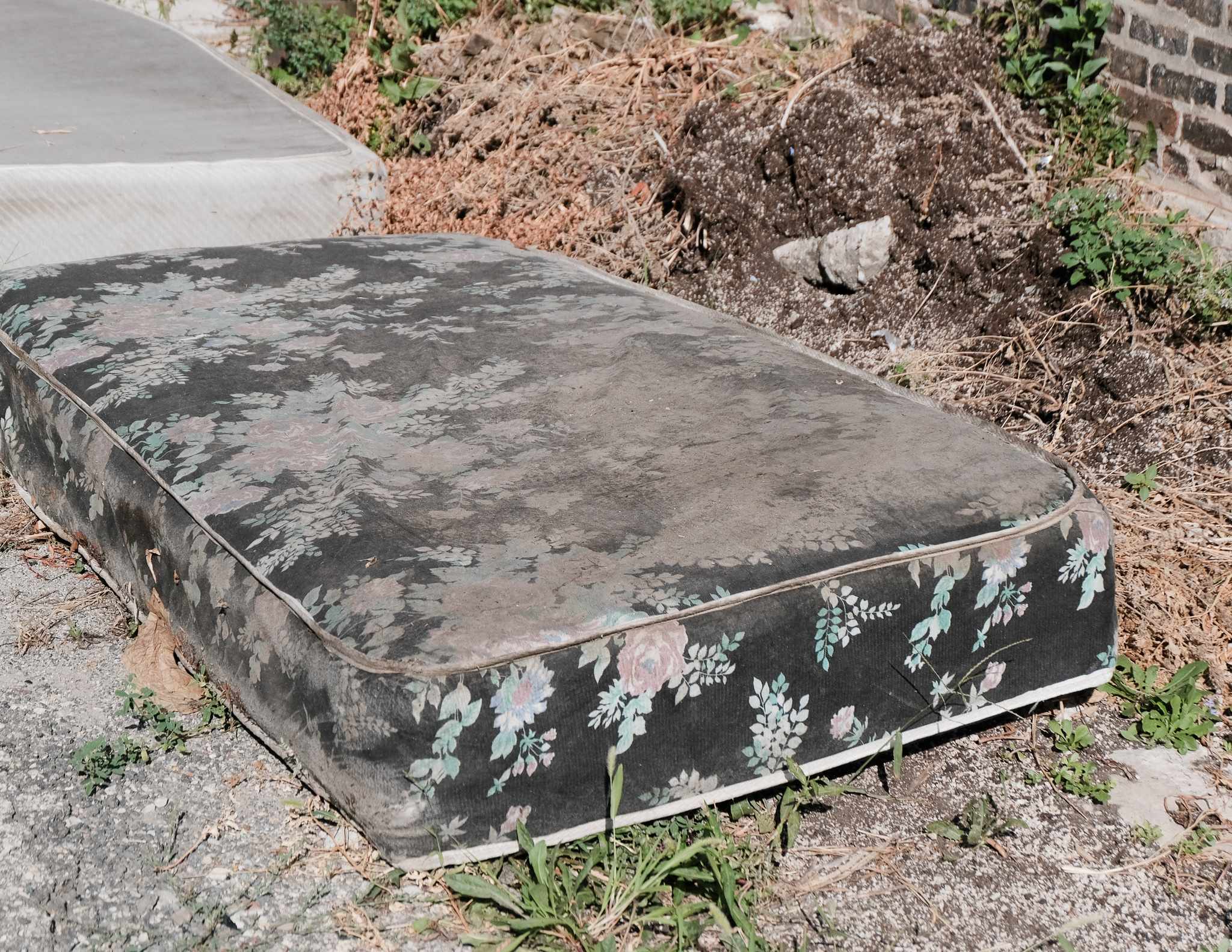 Christian Solorzano — photograph of a discarded floral mattress abandoned on cracked pavement in daylight