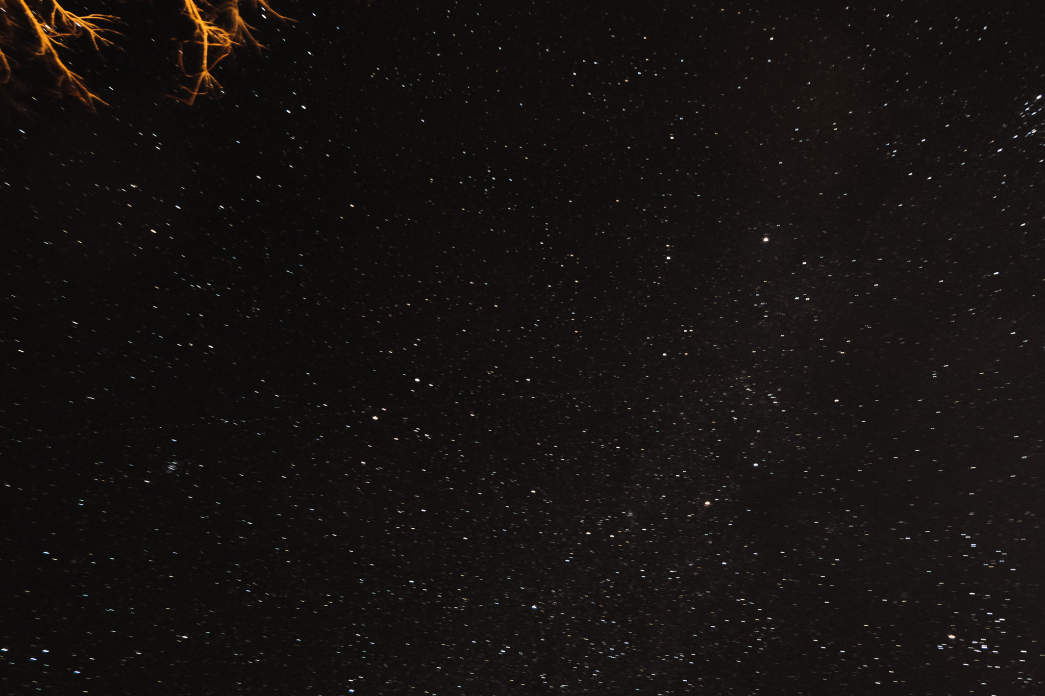 Christian Solorzano — long-exposure night photograph of a star-filled sky with a glowing branch in one corner