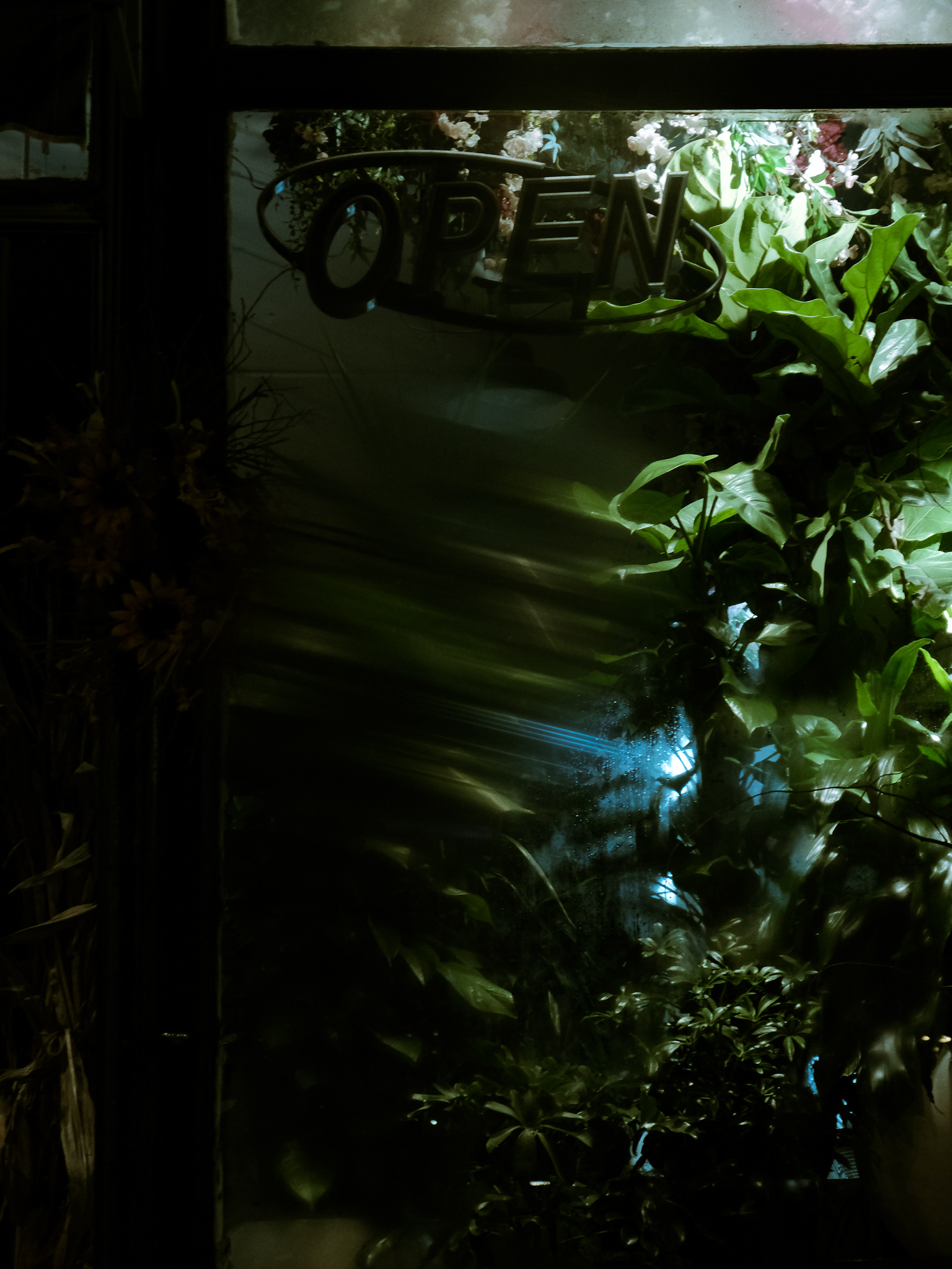 Christian Solorzano — photograph of a glowing OPEN sign in a dark window framed by lush green plants and flowers