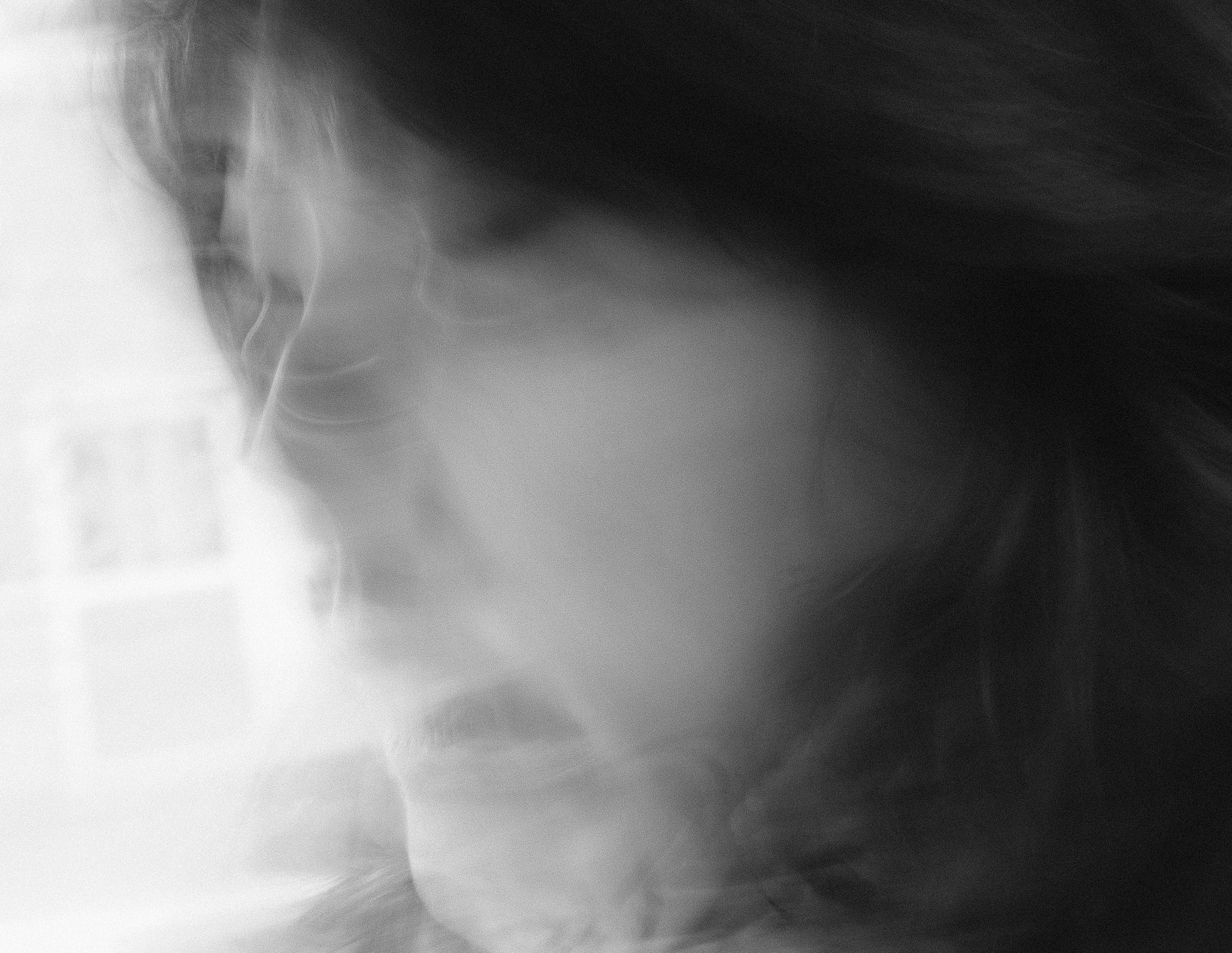Christian Solorzano — dreamy black-and-white motion-blurred portrait of a person in profile by a window