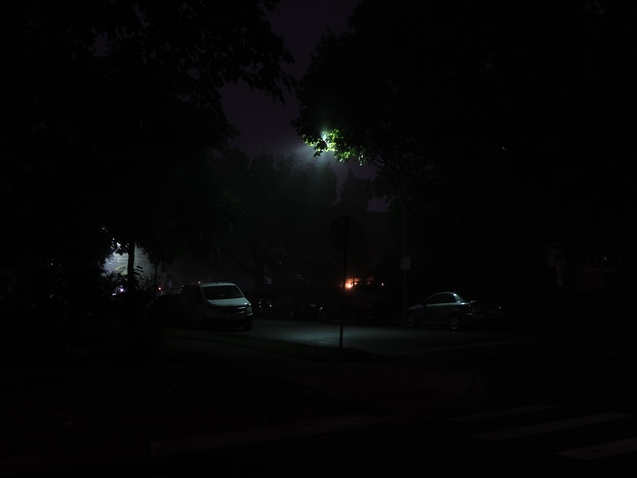 Christian Solorzano — foggy night street photograph of parked cars and a streetlight glowing green through the trees