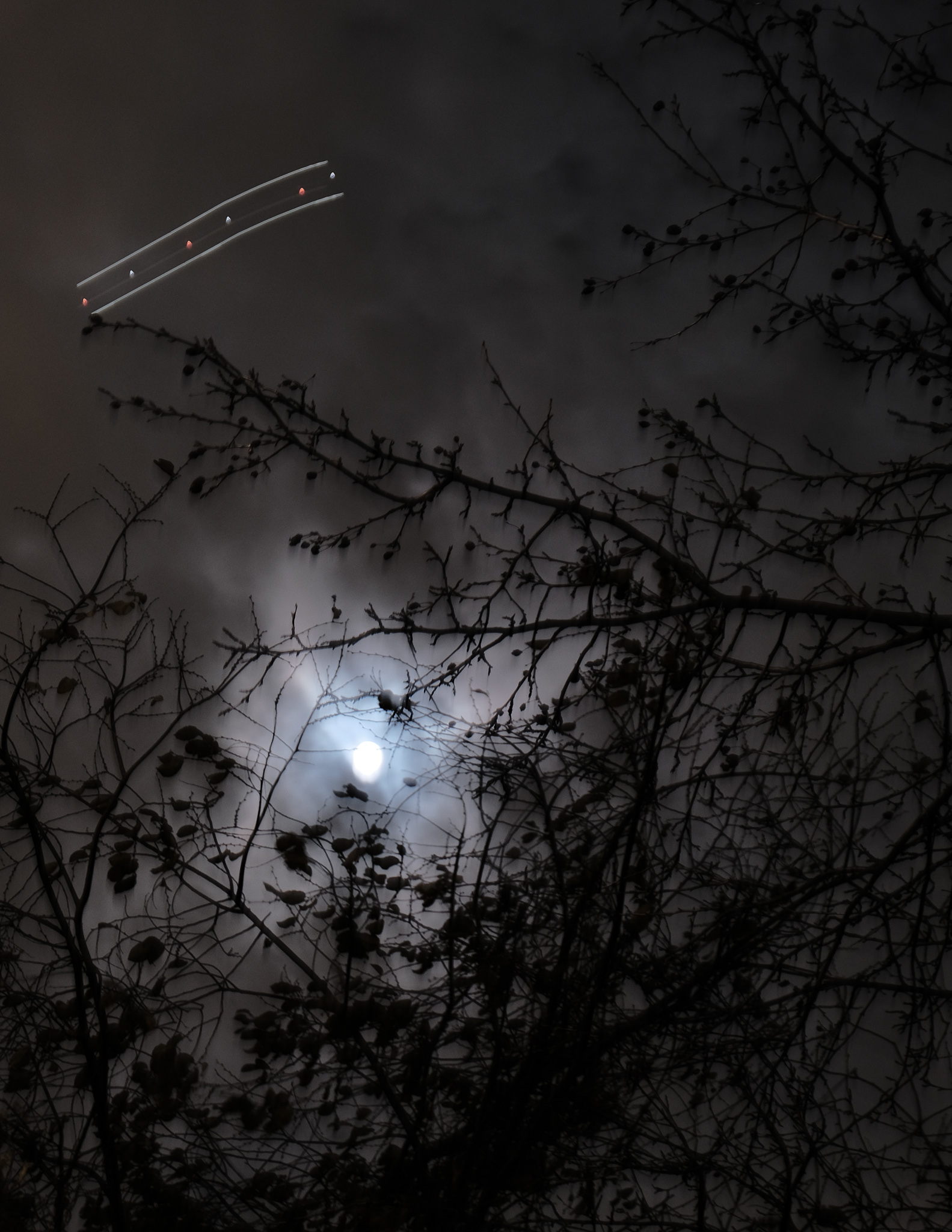 Christian Solorzano — moody night photograph of a full moon glowing behind clouds and bare branches